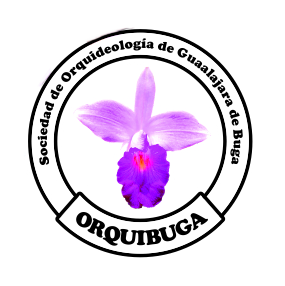 Orquibuga